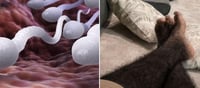 9 Powerful Signs Your Testosterone Levels May Be Strong — The Body Clues Most Men Ignore